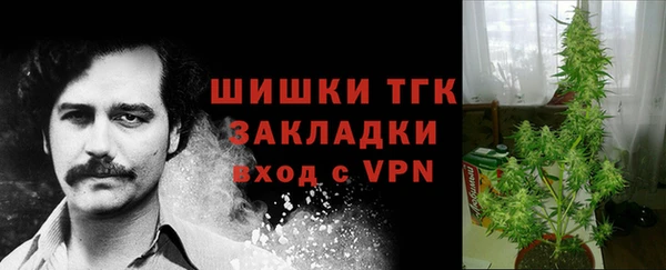 дмт Абинск