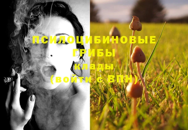дмт Абинск