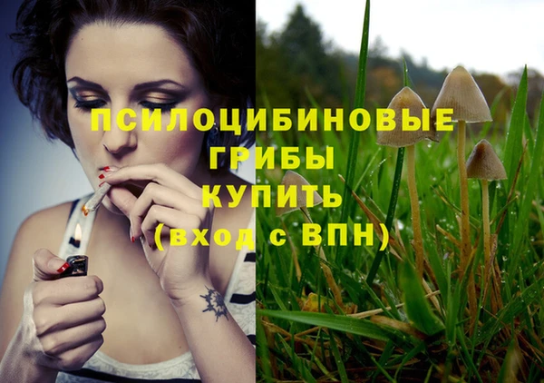дмт Абинск