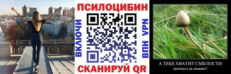 Псилоцибиновые грибы Cubensis  MEGA вход  Мостовской 